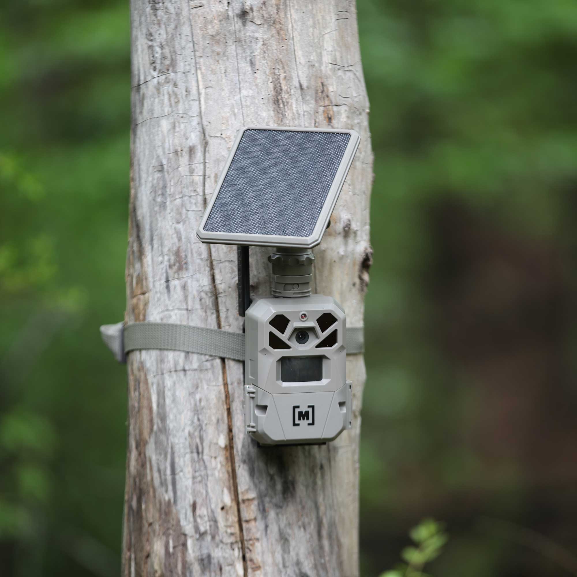 Moultrie Edge Solar Cellular Trail Camera - Image 5
