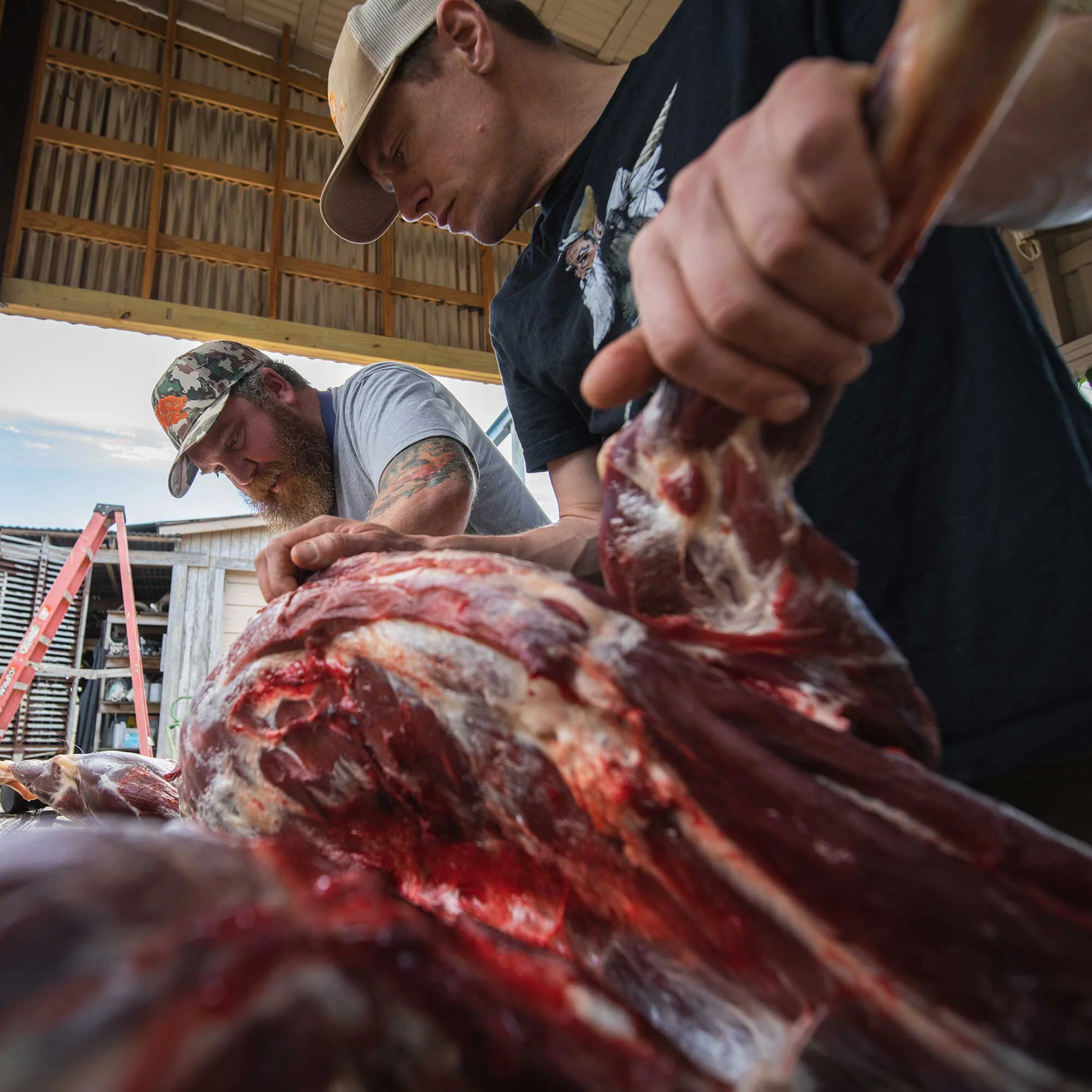 The Hog Book - Image 3